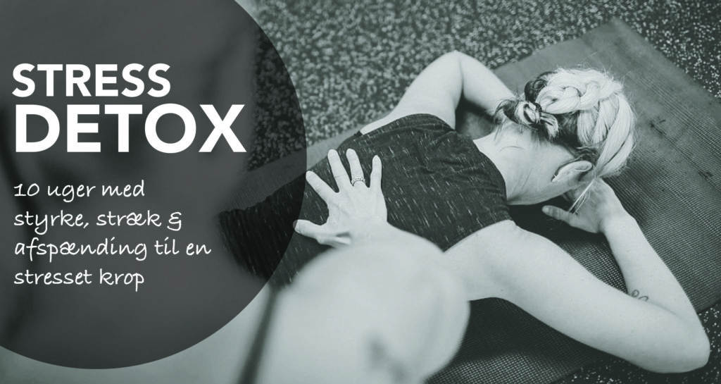 STRESS DETOX